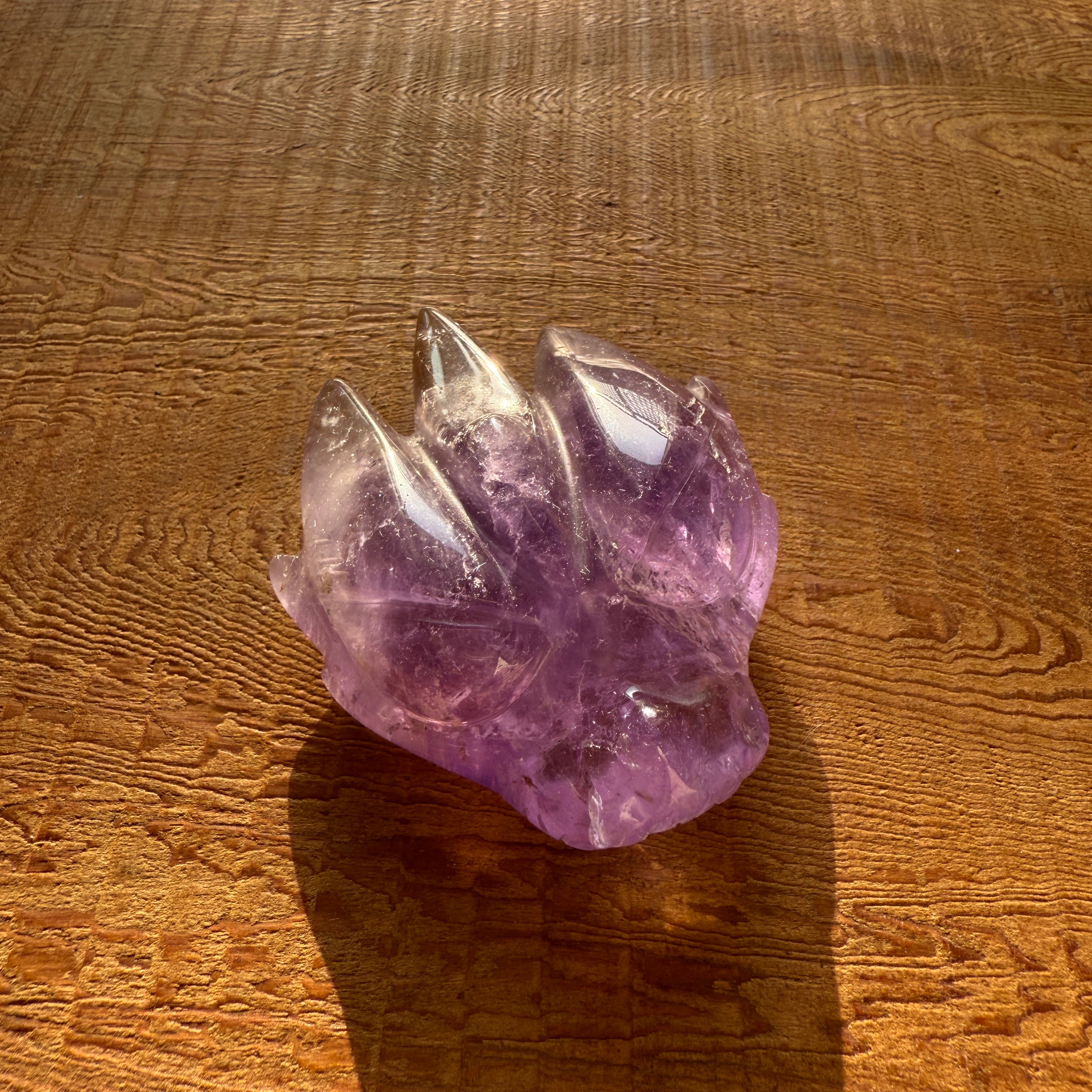 Dragon Head Amethyst_DGHA01