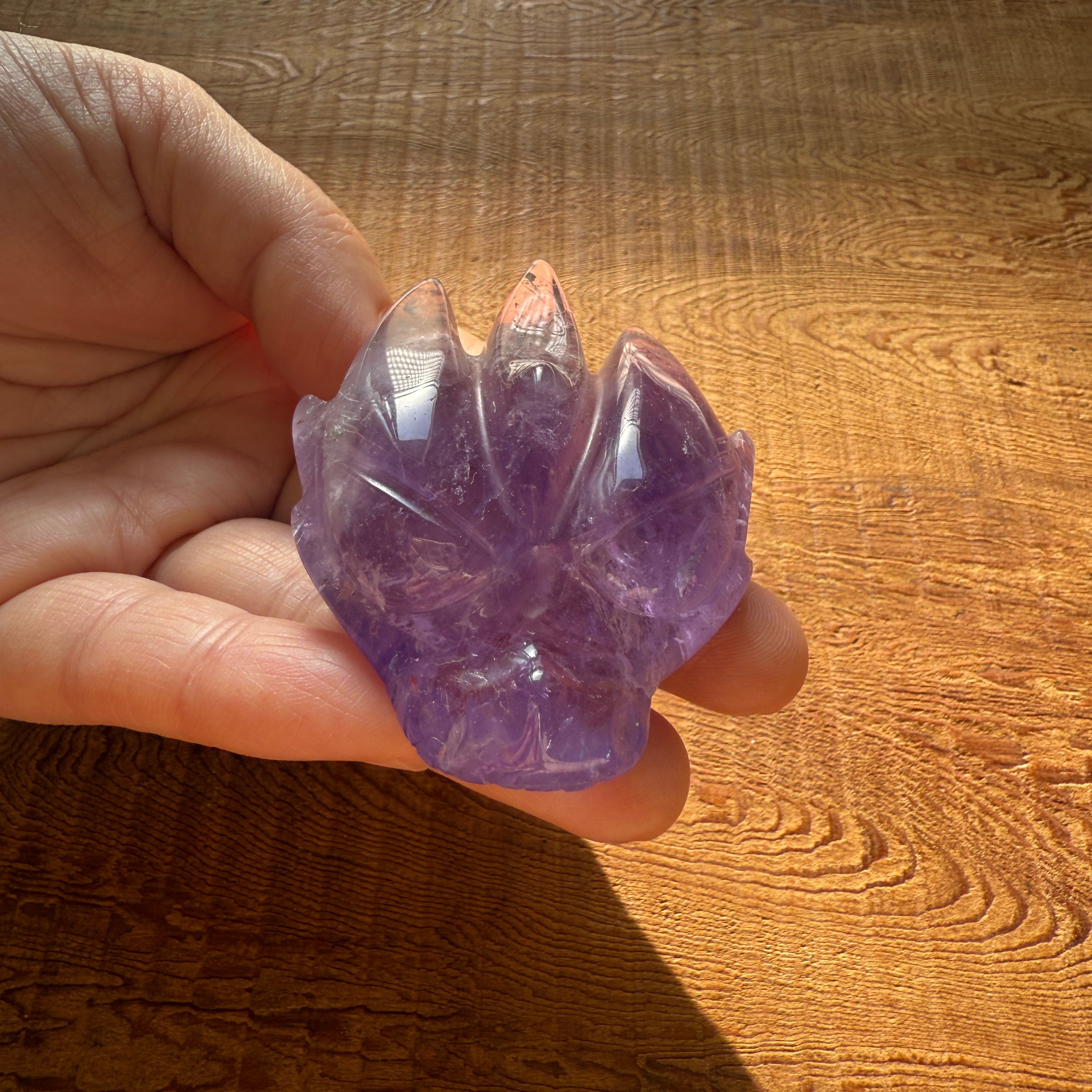 Dragon Head Amethyst_DGHA01