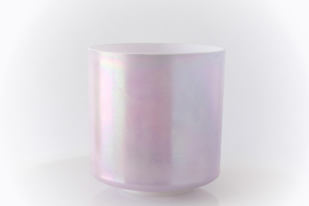 パープル紫 | Purple