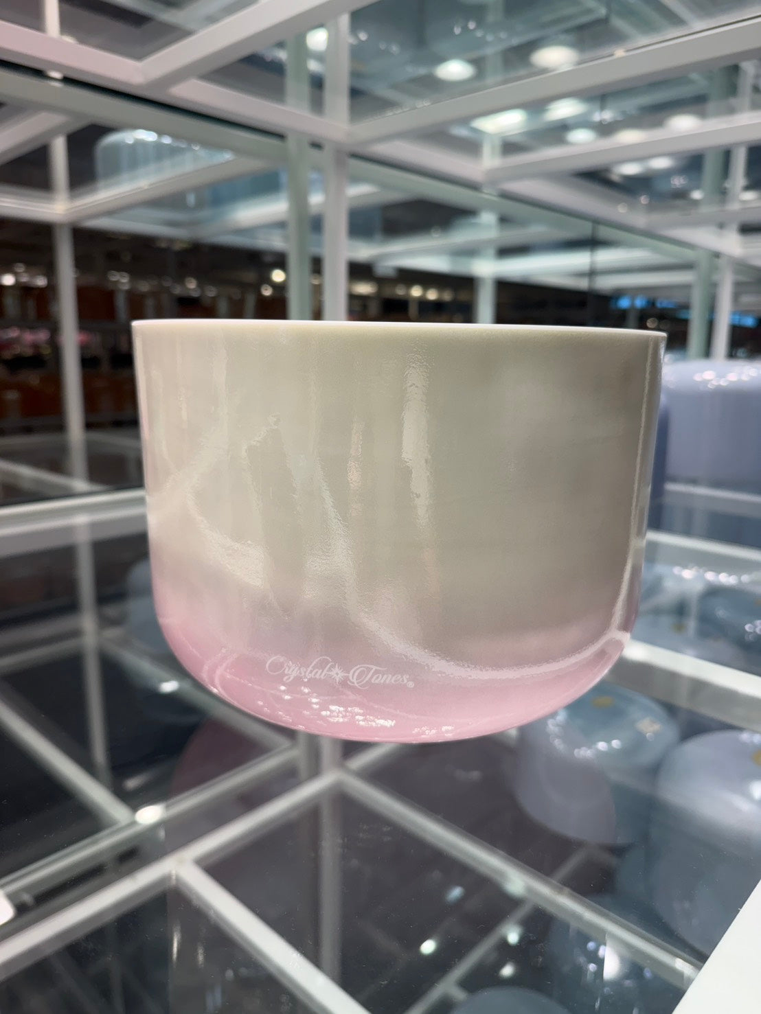 10インチ A+10 Lemon Angel Gold Pink Ocean Gold(Base) / レモンエンジェルゴールド ピンクオーシャンゴールド ベース