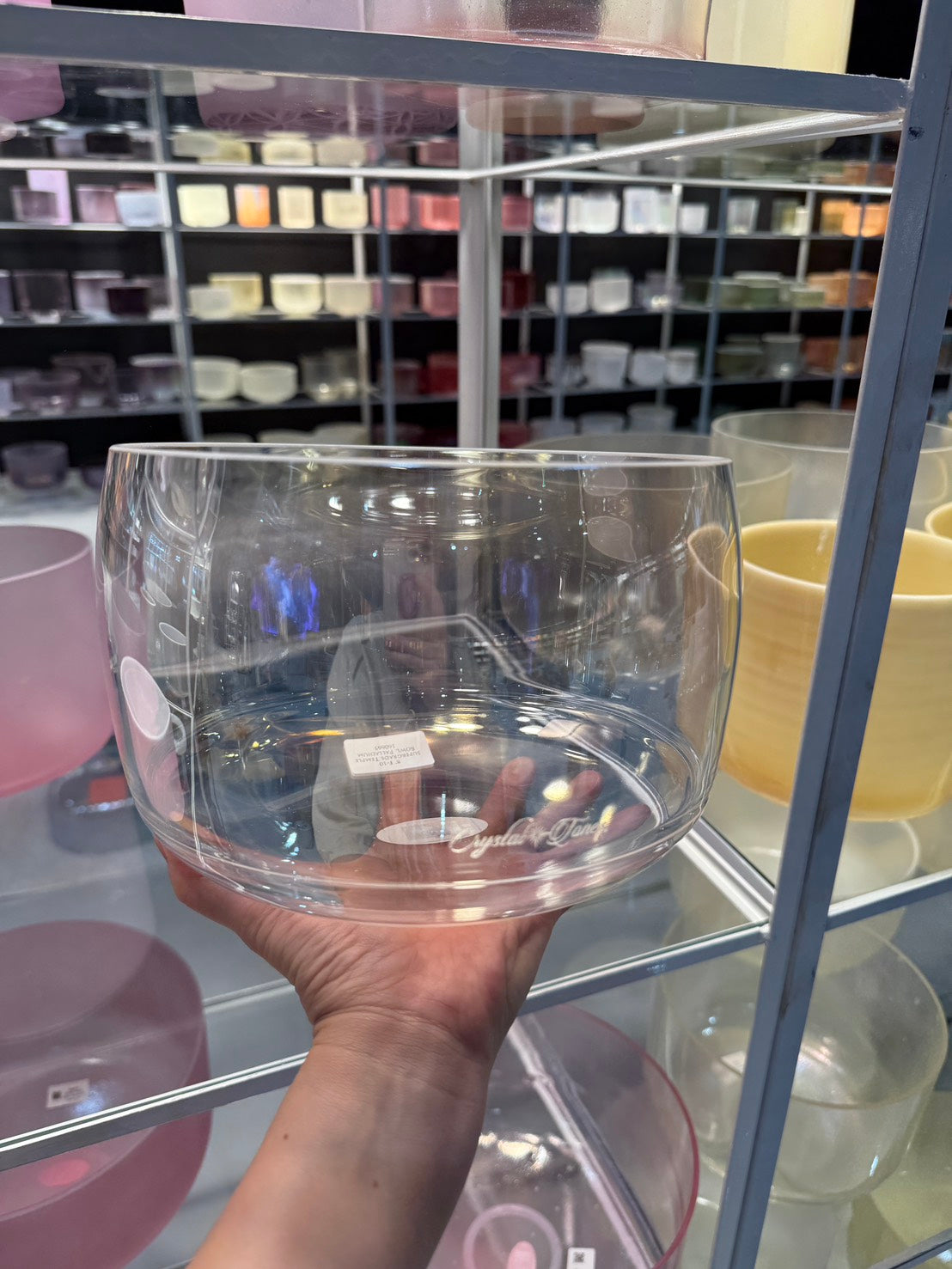 8インチ F-10 Supergrade Temple Bowl Palladium / スーパーグレード テンプルボウル パラディウム